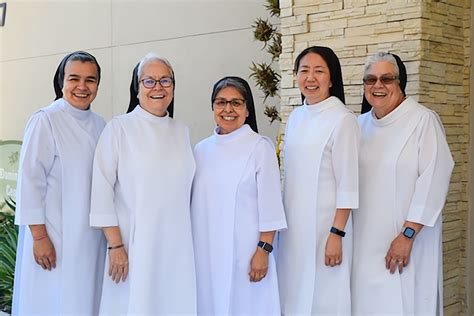Members of the order, who are referred to as Dominicans, generally carry the letters OP after their names, standing for Ordinis Praedicatorum. . Dominican sisters wikipedia